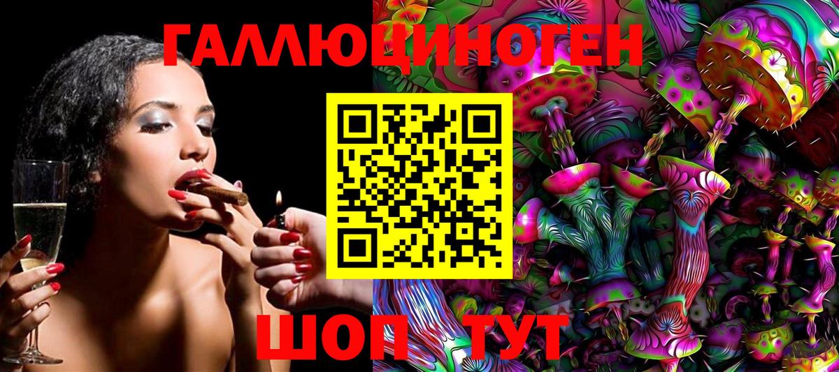Псилоцибиновые грибы Cubensis Ачхой-Мартан