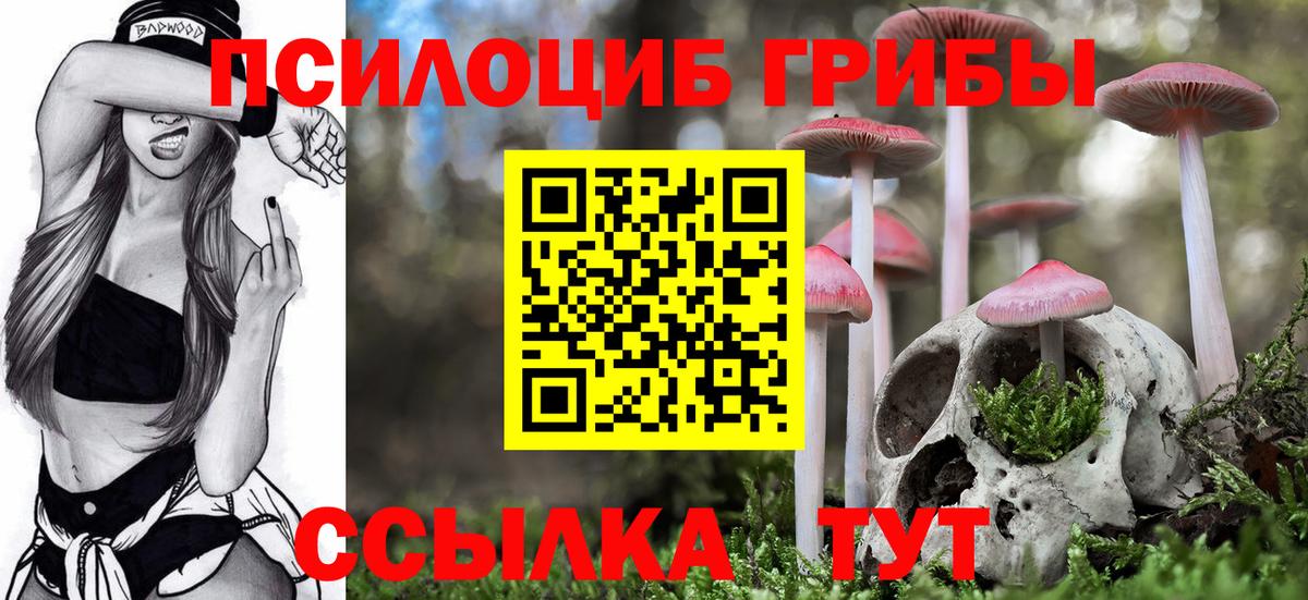 Ачхой-Мартан  Псилоцибиновые грибы Cubensis  Вход с VPN 
