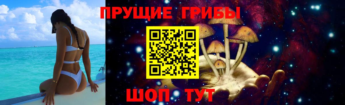 Псилоцибиновые грибы прущие грибы Ачхой-Мартан